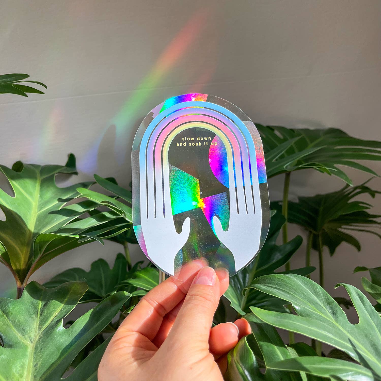 Botanopia - Suncatcher Fenster - Sticker • Slow down and soak it up - ROSA ECK