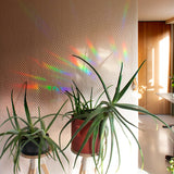 Botanopia - Suncatcher Fenster - Sticker • You are loved - ROSA ECK