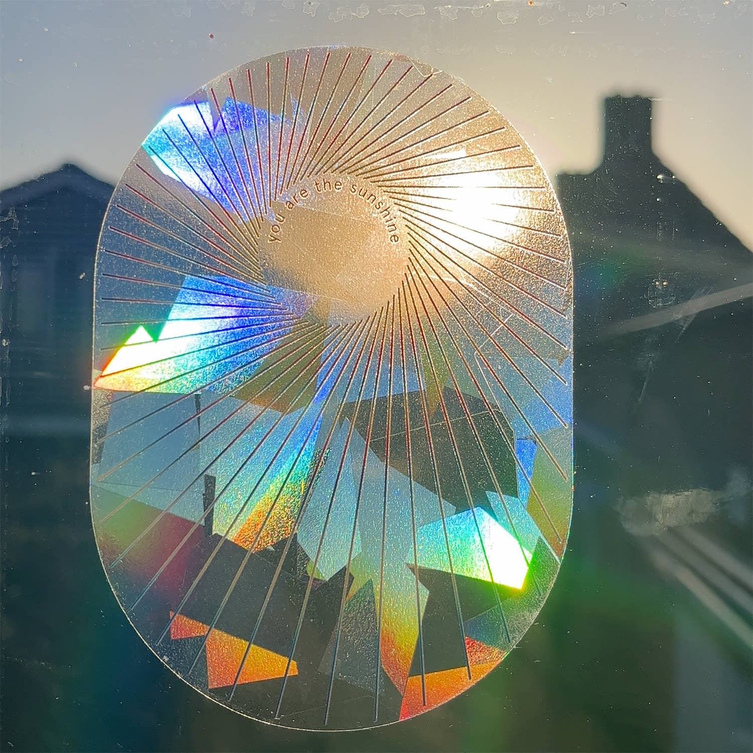 Botanopia - Suncatcher Fenster-Sticker • You are the sunshine - ROSA ECK
