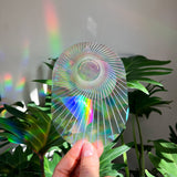 Botanopia - Suncatcher Fenster-Sticker • You are the sunshine - ROSA ECK