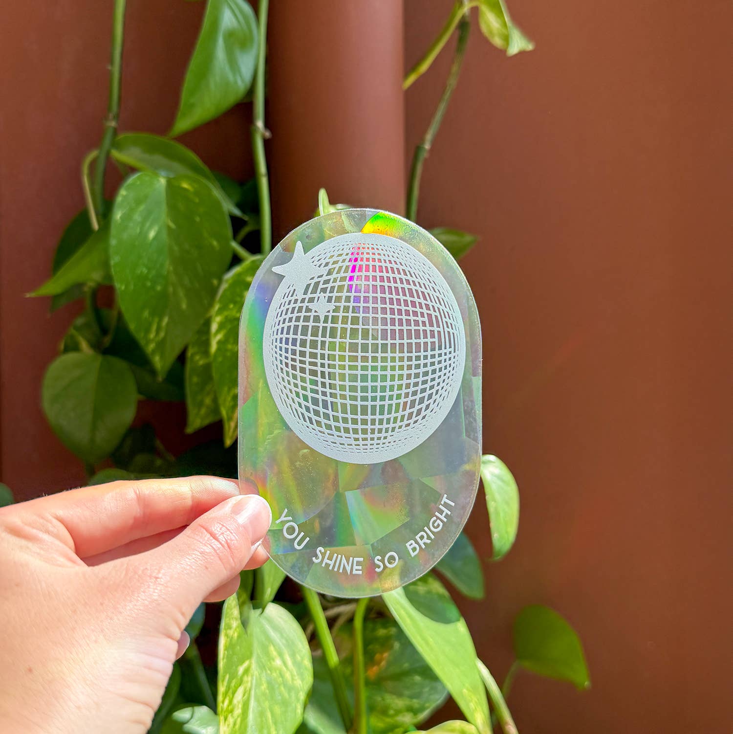 Botanopia - Suncatcher Fenster-Sticker • You shine so bright - ROSA ECK