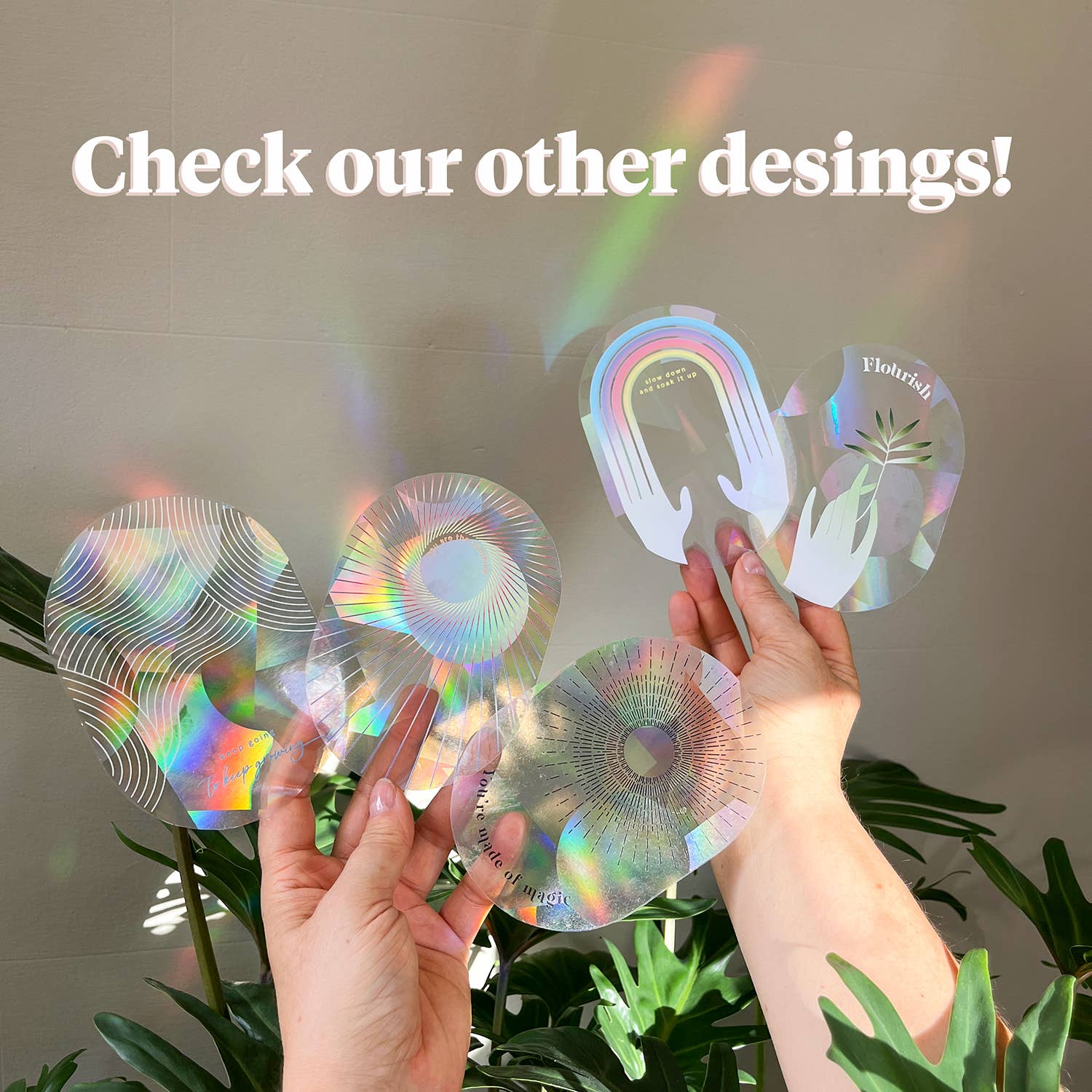 Botanopia - Suncatcher Fenster-Sticker • You shine so bright - ROSA ECK