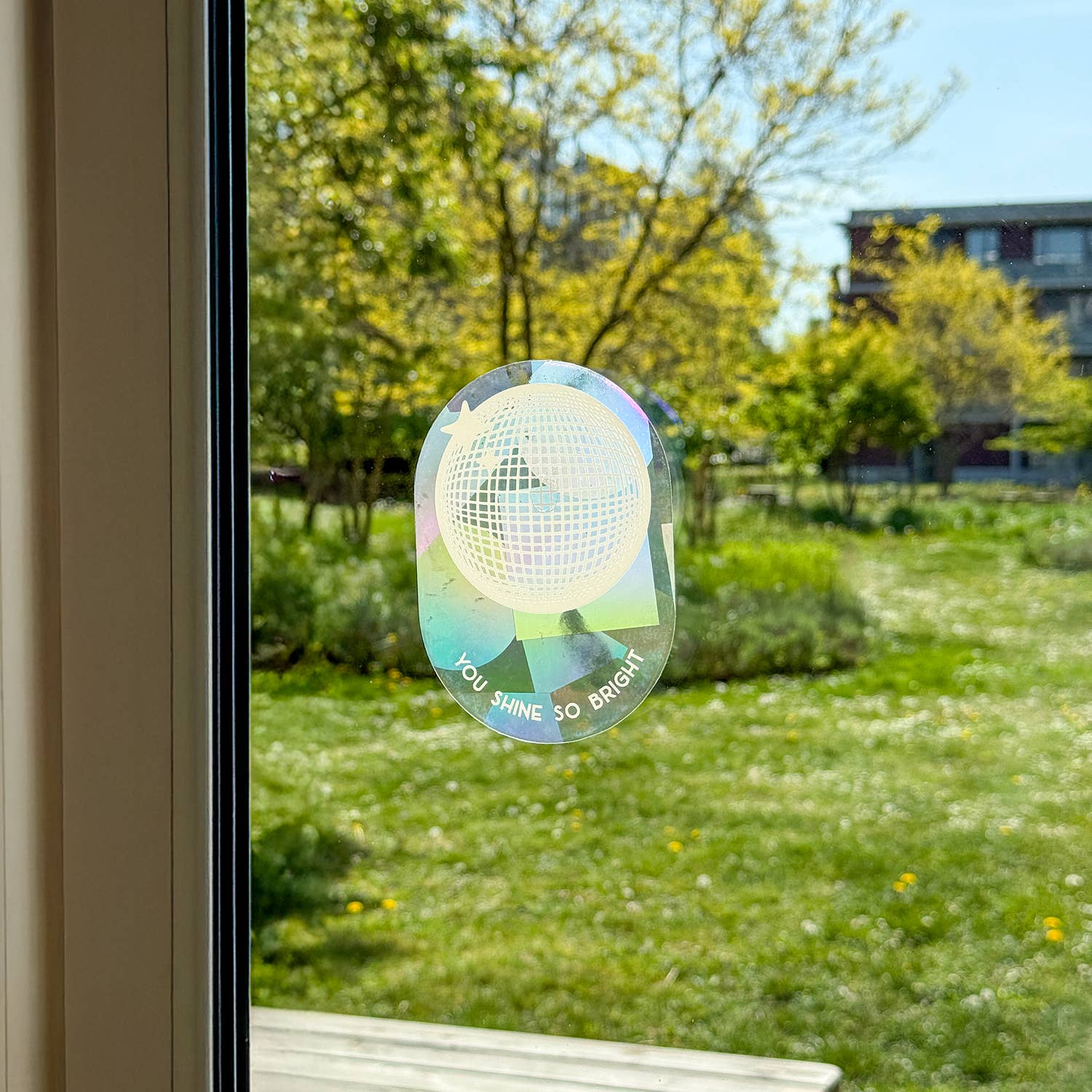 Botanopia - Suncatcher Fenster-Sticker • You shine so bright - ROSA ECK
