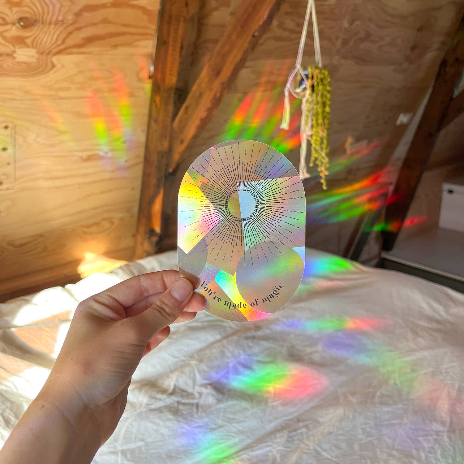 Botanopia - Suncatcher Fenster - Sticker • You're made of magic - ROSA ECK