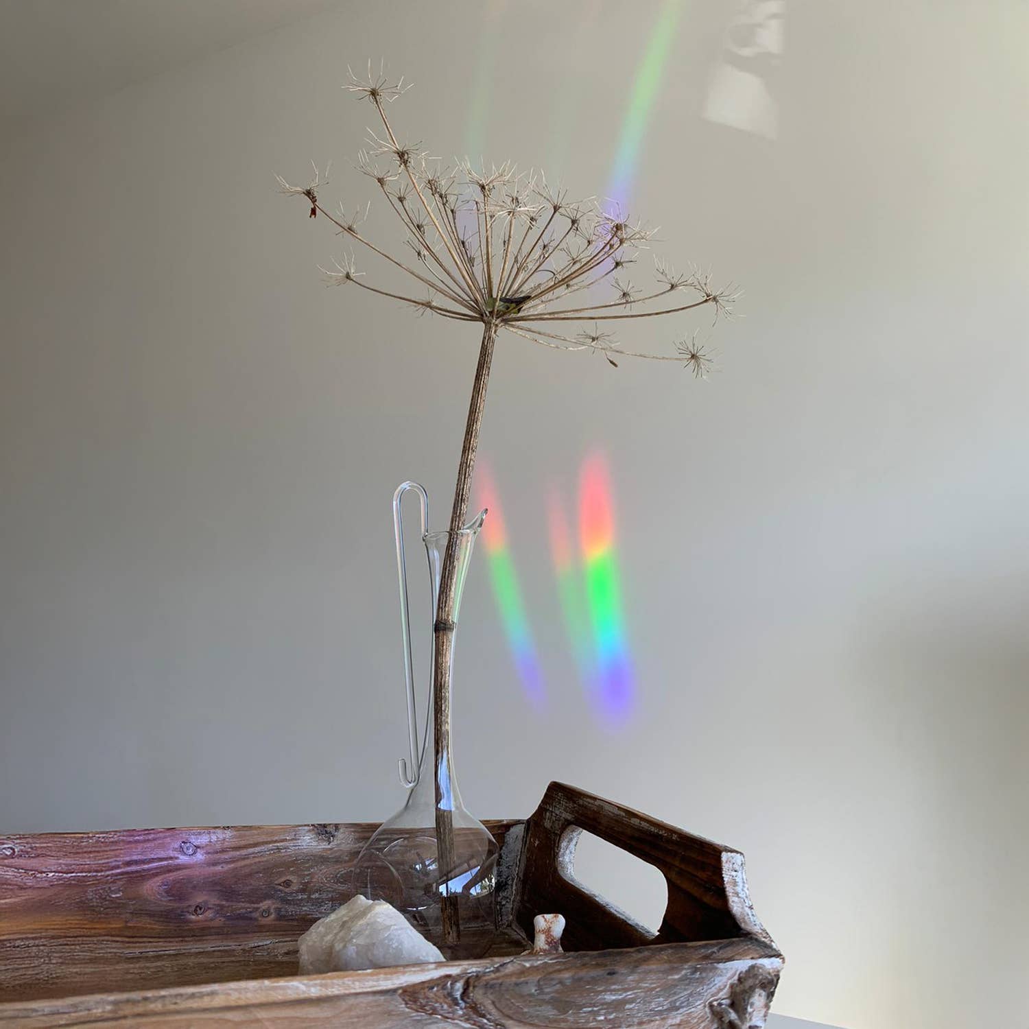 Botanopia - Suncatcher Fenster - Sticker • You're made of magic - ROSA ECK