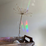 Botanopia - Suncatcher Fenster - Sticker • You're made of magic - ROSA ECK
