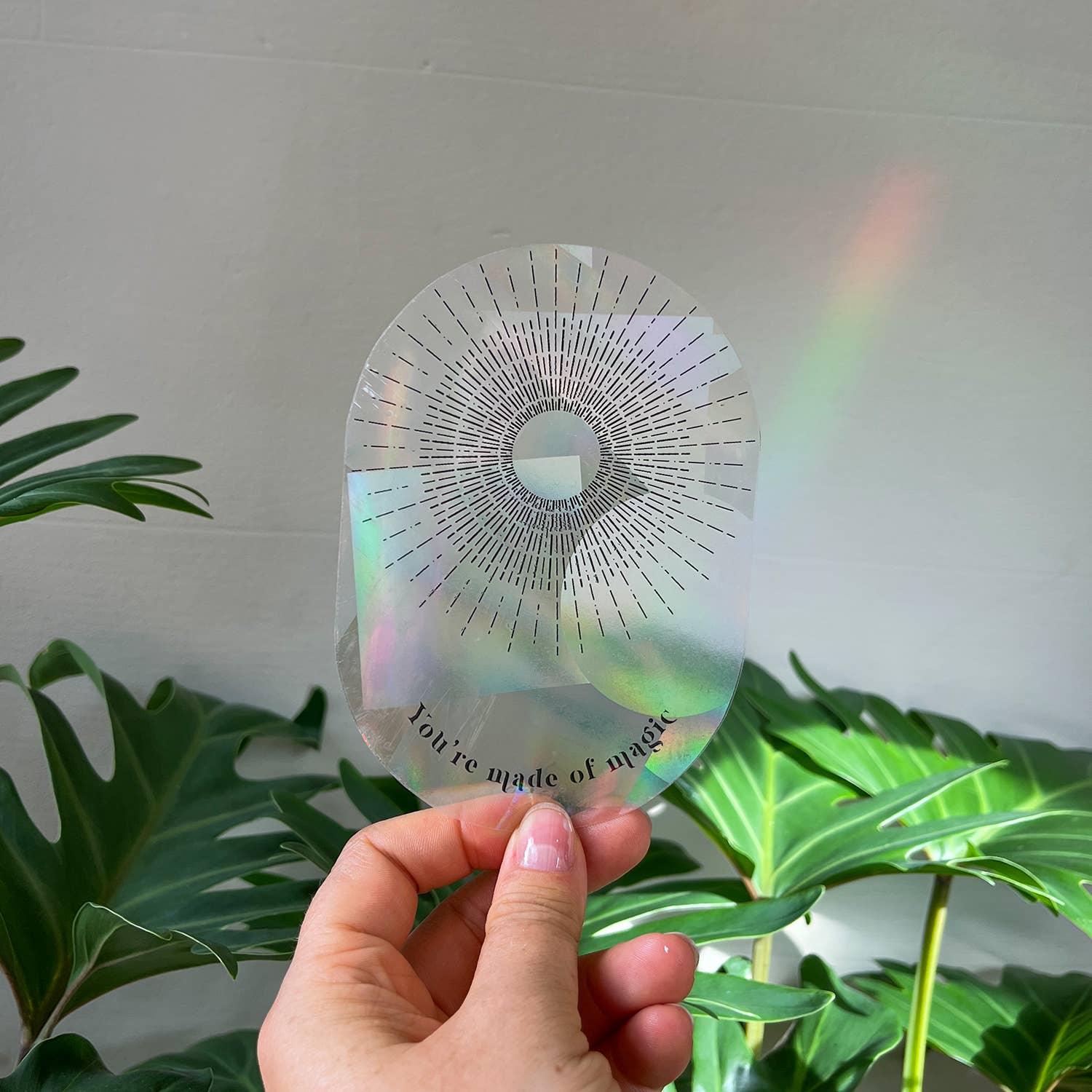 Botanopia - Suncatcher Fenster - Sticker • You're made of magic - ROSA ECK