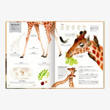 Coppenrath Verlag - GROSSARTIG – ECHT GROSSE TIERE Kinderbuch - ROSA ECK
