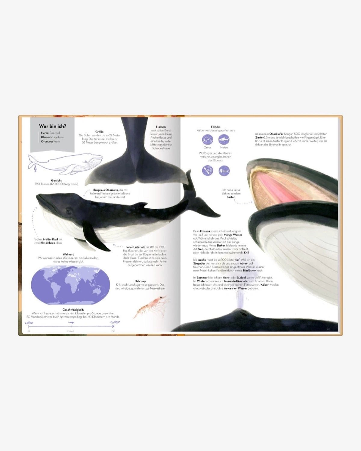 Coppenrath Verlag - GROSSARTIG – ECHT GROSSE TIERE Kinderbuch - ROSA ECK