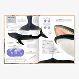 Coppenrath Verlag - GROSSARTIG – ECHT GROSSE TIERE Kinderbuch - ROSA ECK
