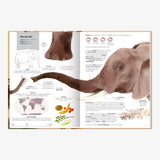 Coppenrath Verlag - GROSSARTIG – ECHT GROSSE TIERE Kinderbuch - ROSA ECK