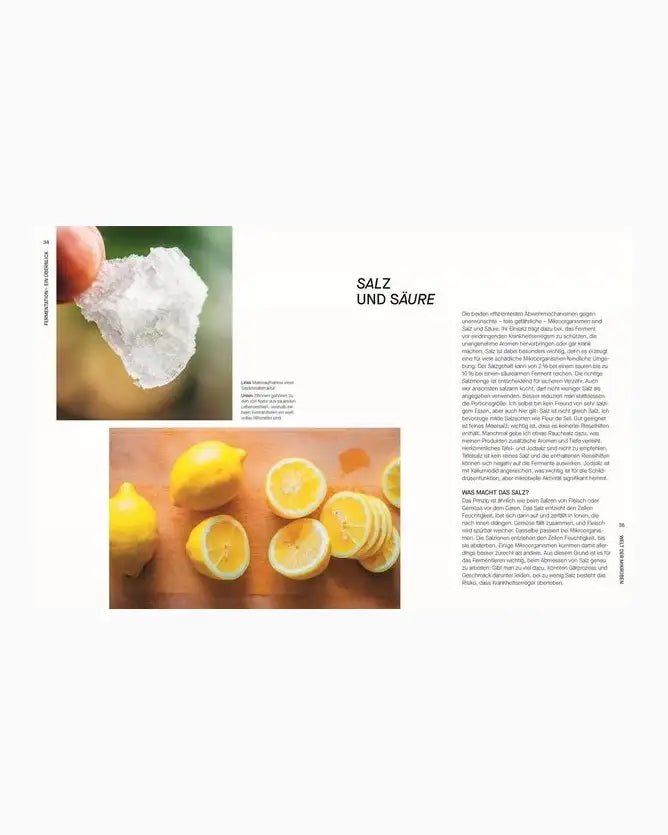 DK Verlag - FERMENTIEREN Kochbuch - ROSA ECK