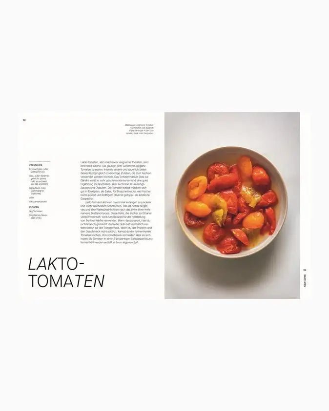 DK Verlag - FERMENTIEREN Kochbuch - ROSA ECK