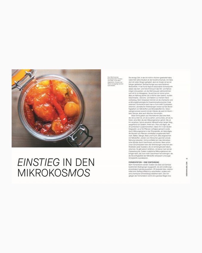 DK Verlag - FERMENTIEREN Kochbuch - ROSA ECK