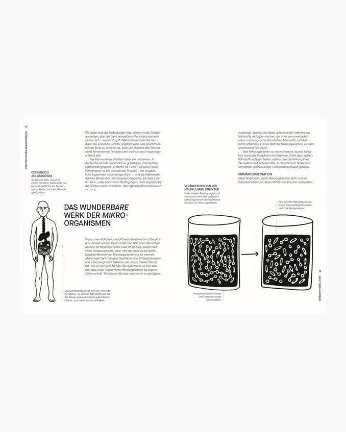 DK Verlag - FERMENTIEREN Kochbuch - ROSA ECK