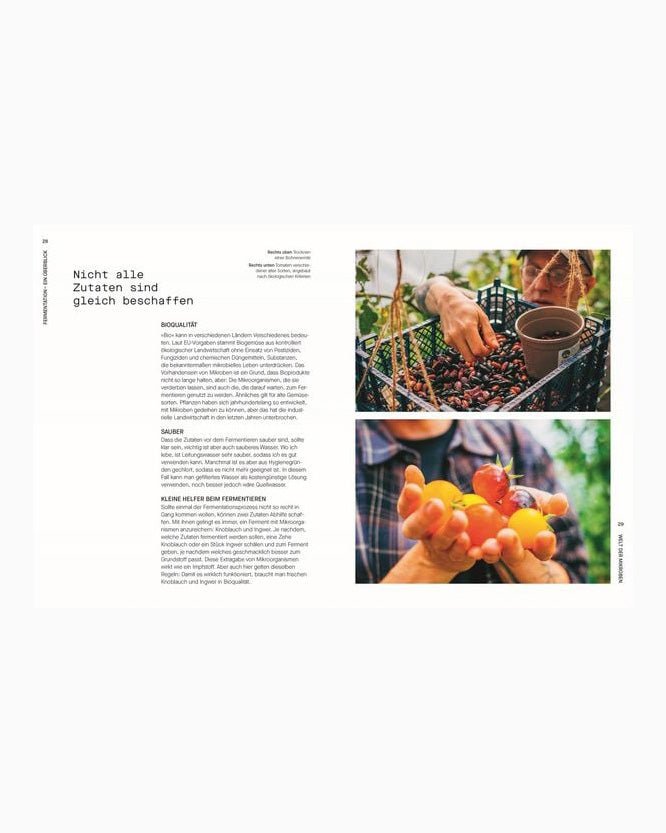 DK Verlag - FERMENTIEREN Kochbuch - ROSA ECK