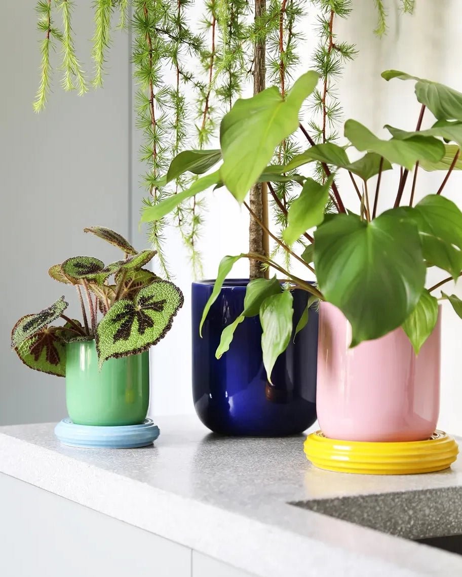 &Klevering - CHURROS Blumentopf | Rosa - Blumentopf - ROSA ECK Concept Store
