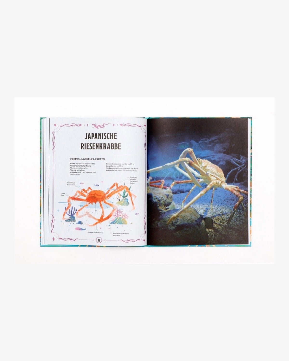 Laurence King Publishing - ECHTE MEERESUNGEHEUER Kinderbuch - ROSA ECK