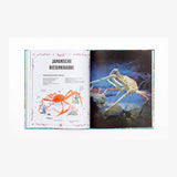 Laurence King Publishing - ECHTE MEERESUNGEHEUER Kinderbuch - ROSA ECK