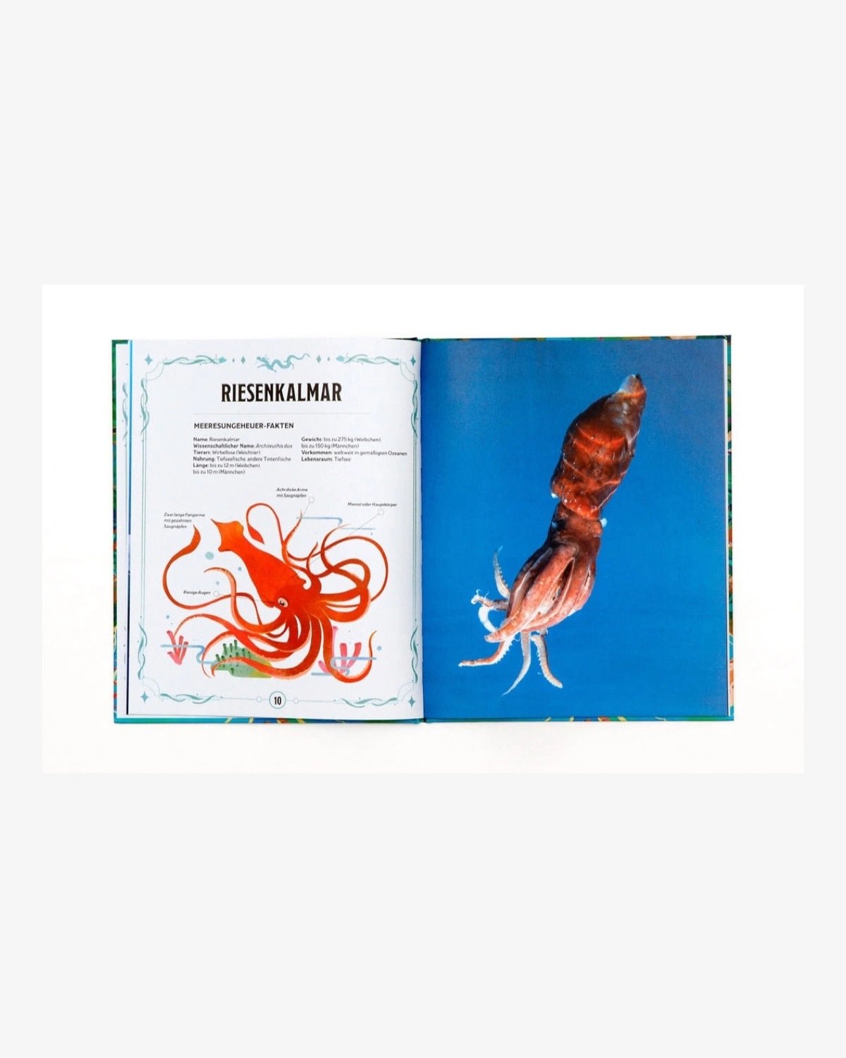 Laurence King Publishing - ECHTE MEERESUNGEHEUER Kinderbuch - ROSA ECK