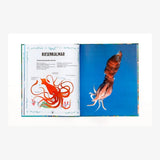 Laurence King Publishing - ECHTE MEERESUNGEHEUER Kinderbuch - ROSA ECK