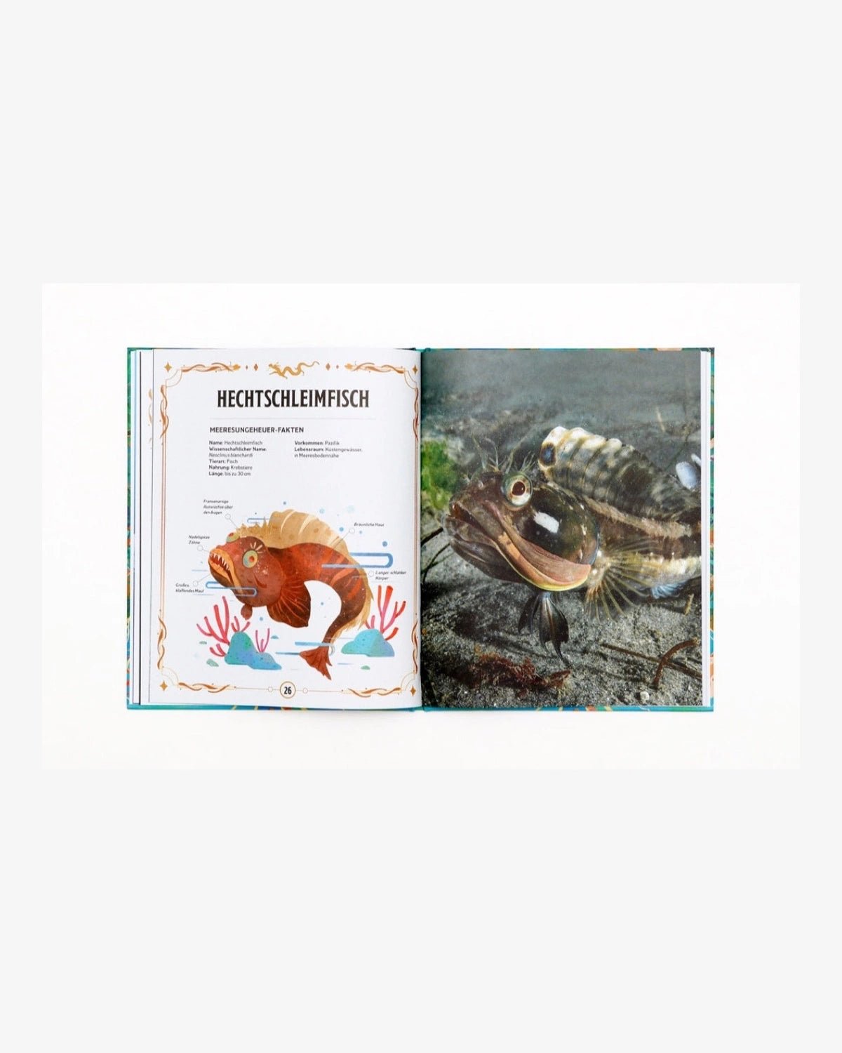Laurence King Publishing - ECHTE MEERESUNGEHEUER Kinderbuch - ROSA ECK