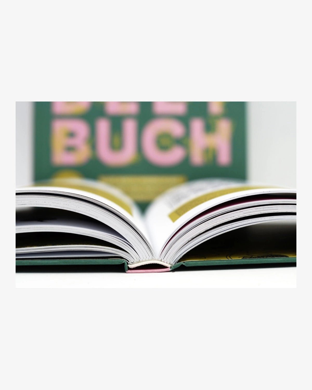 Löwenzahn Verlag - DAS GROSSE HOCHBEET-BUCH - ROSA ECK