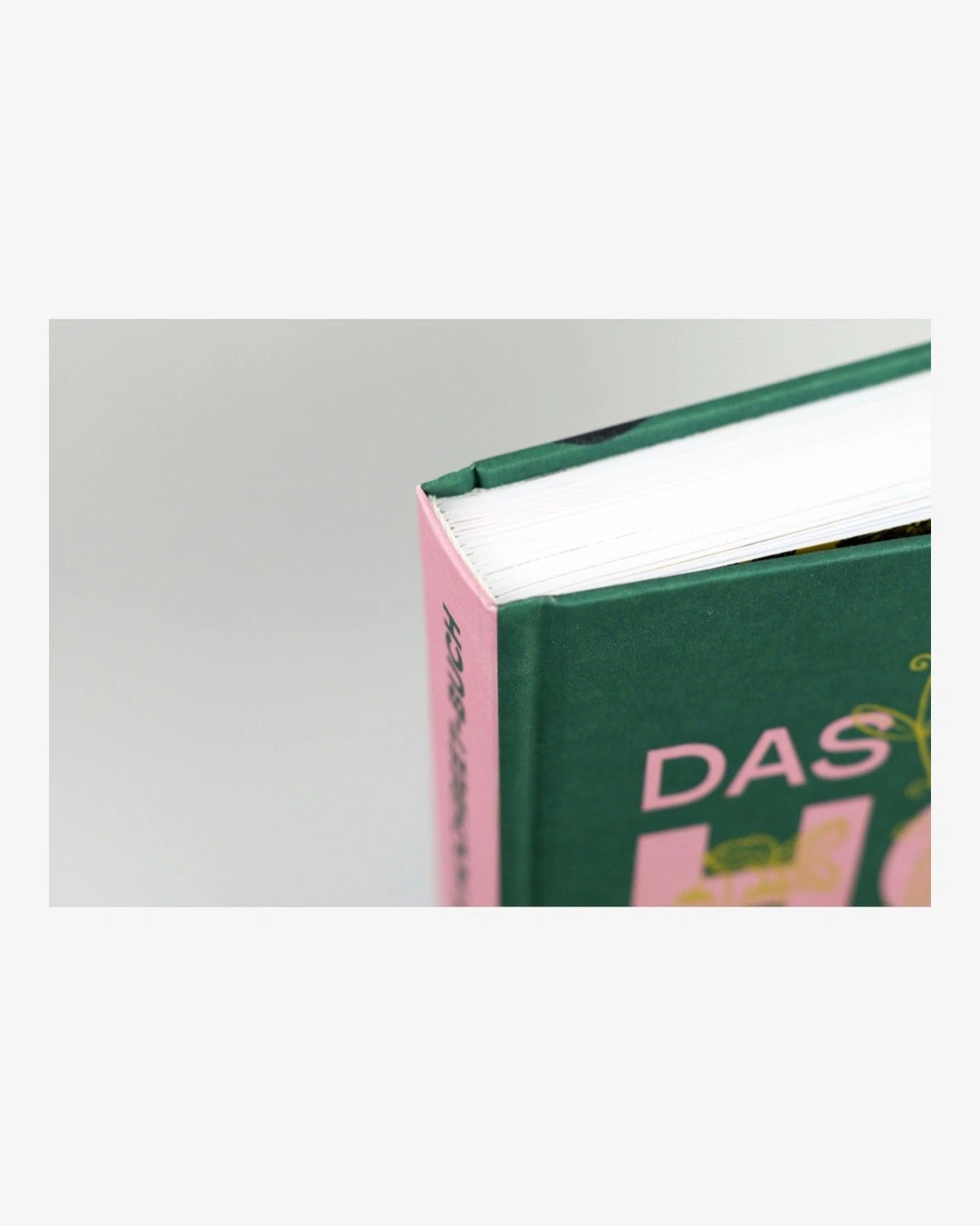 Löwenzahn Verlag - DAS GROSSE HOCHBEET-BUCH - ROSA ECK