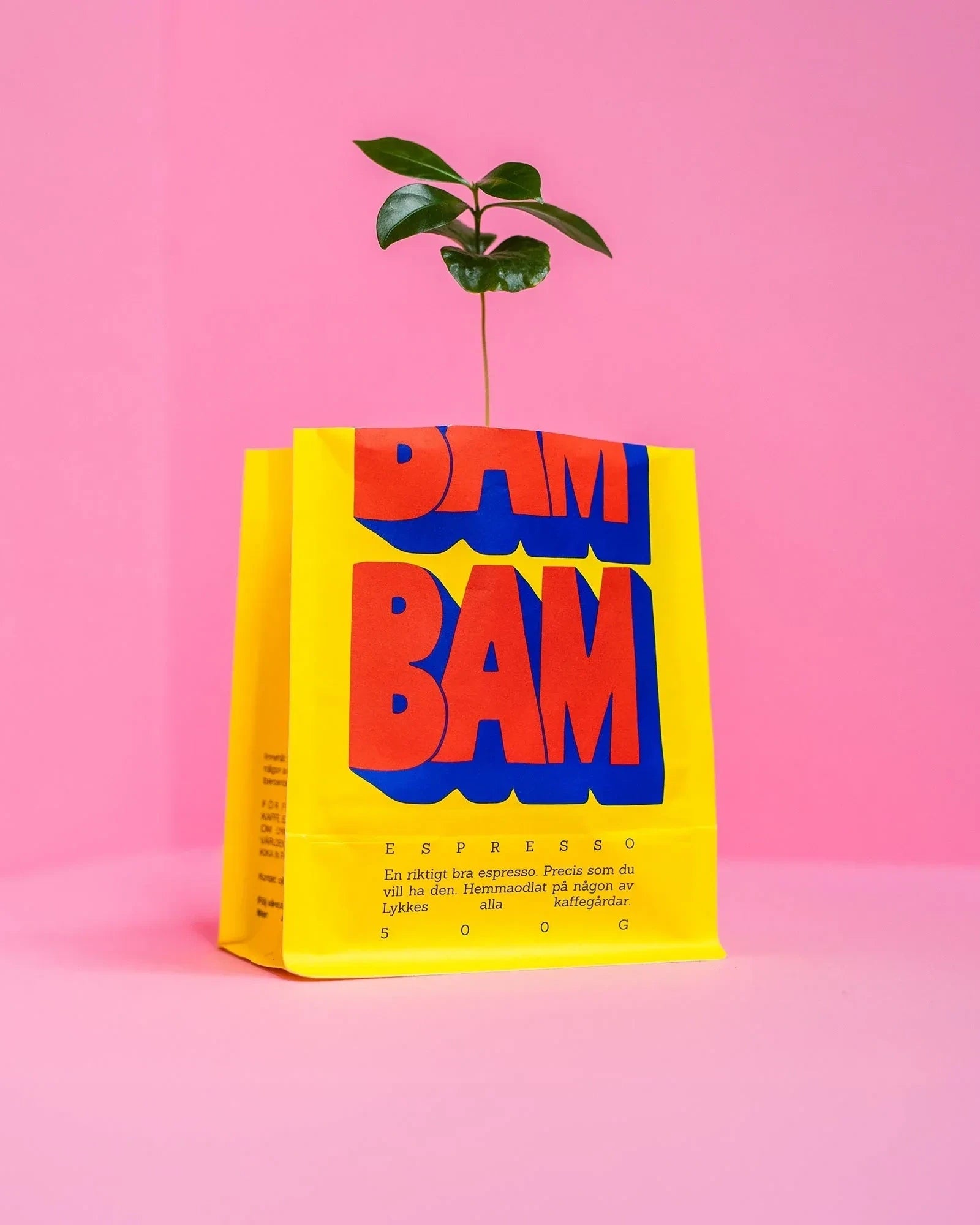 Lykke Coffee Farms - BAM BAM! Espressobohnen (500 g) - ROSA ECK