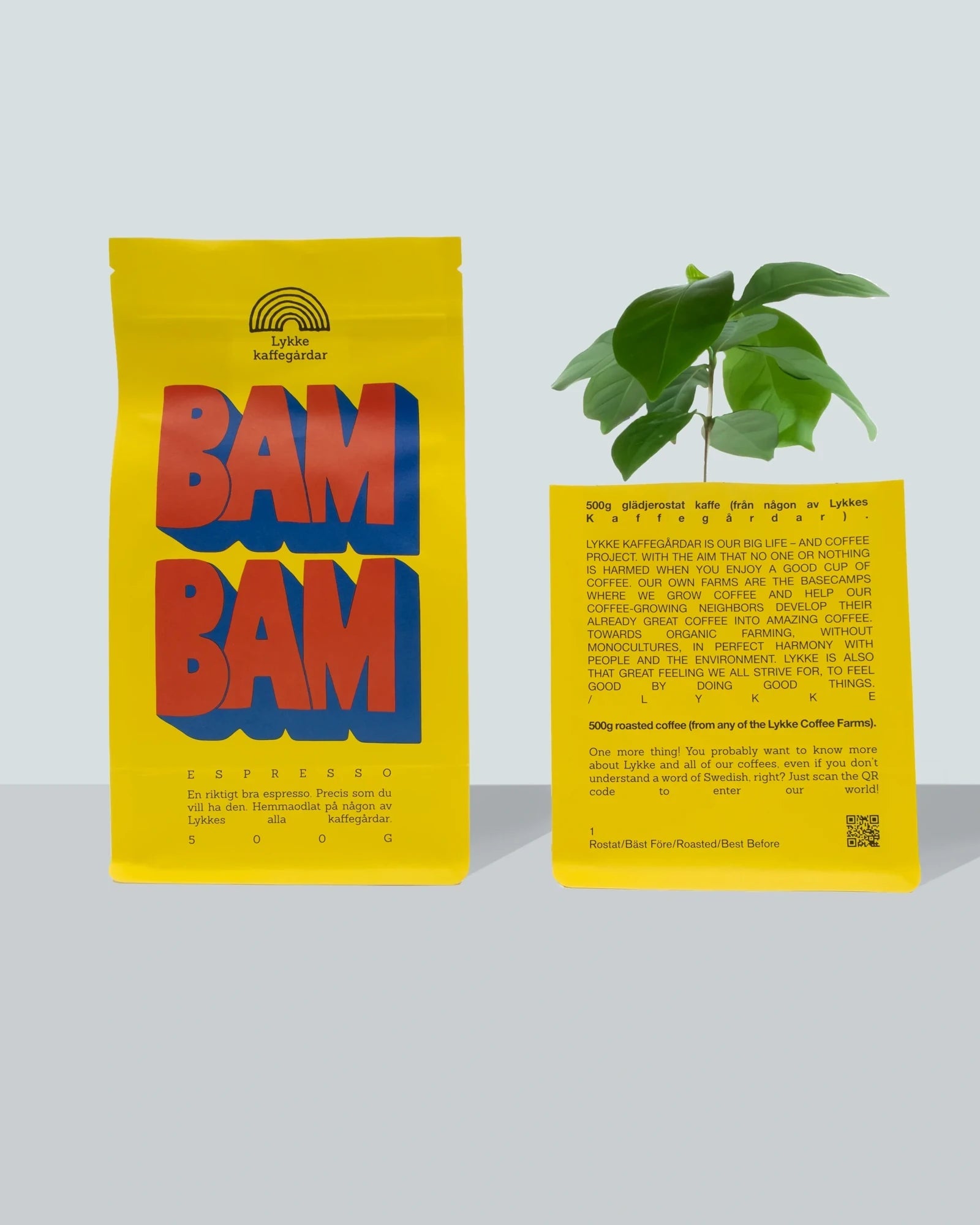 Lykke Coffee Farms - BAM BAM! Espressobohnen (500 g) - ROSA ECK