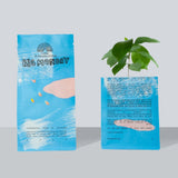 Lykke Coffee Farms - BIG MONDAY Kaffeebohnen aus El Salvador (250 g) - ROSA ECK