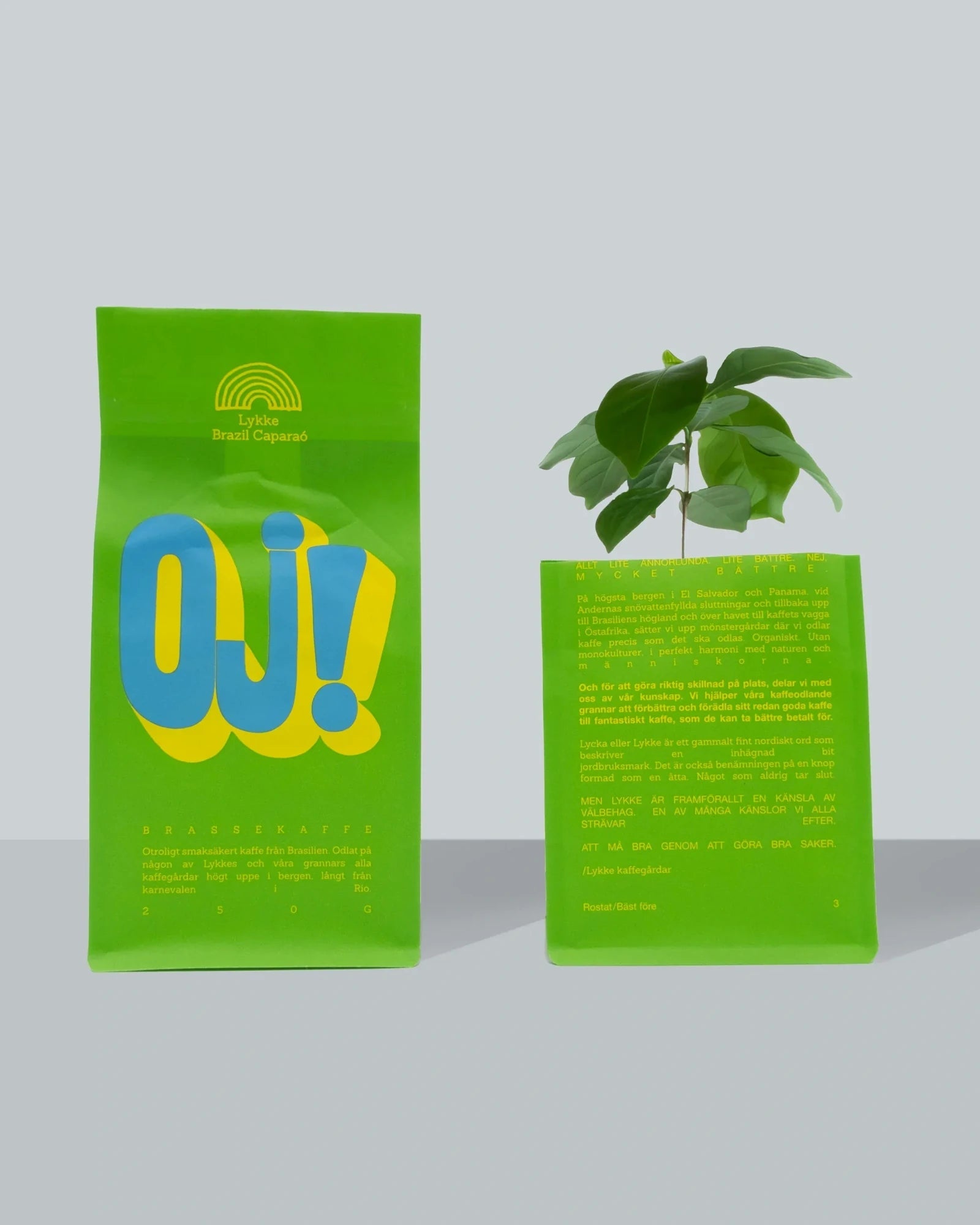 Lykke Coffee Farms - OJ! Kaffeebohnen aus Brasilien (250 g) - ROSA ECK