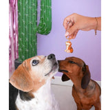 MALICIEUSE - BEAGLE Schlüsselanhänger - ROSA ECK