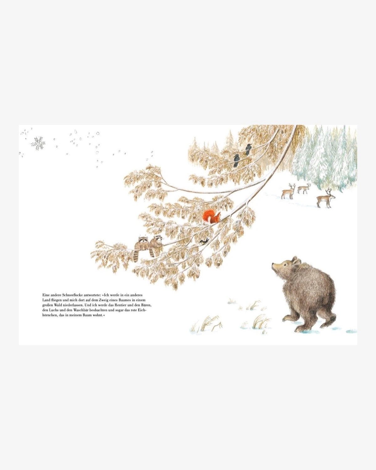NordSüd Verlag - SCHNEEFLOCKE Kinderbuch - ROSA ECK