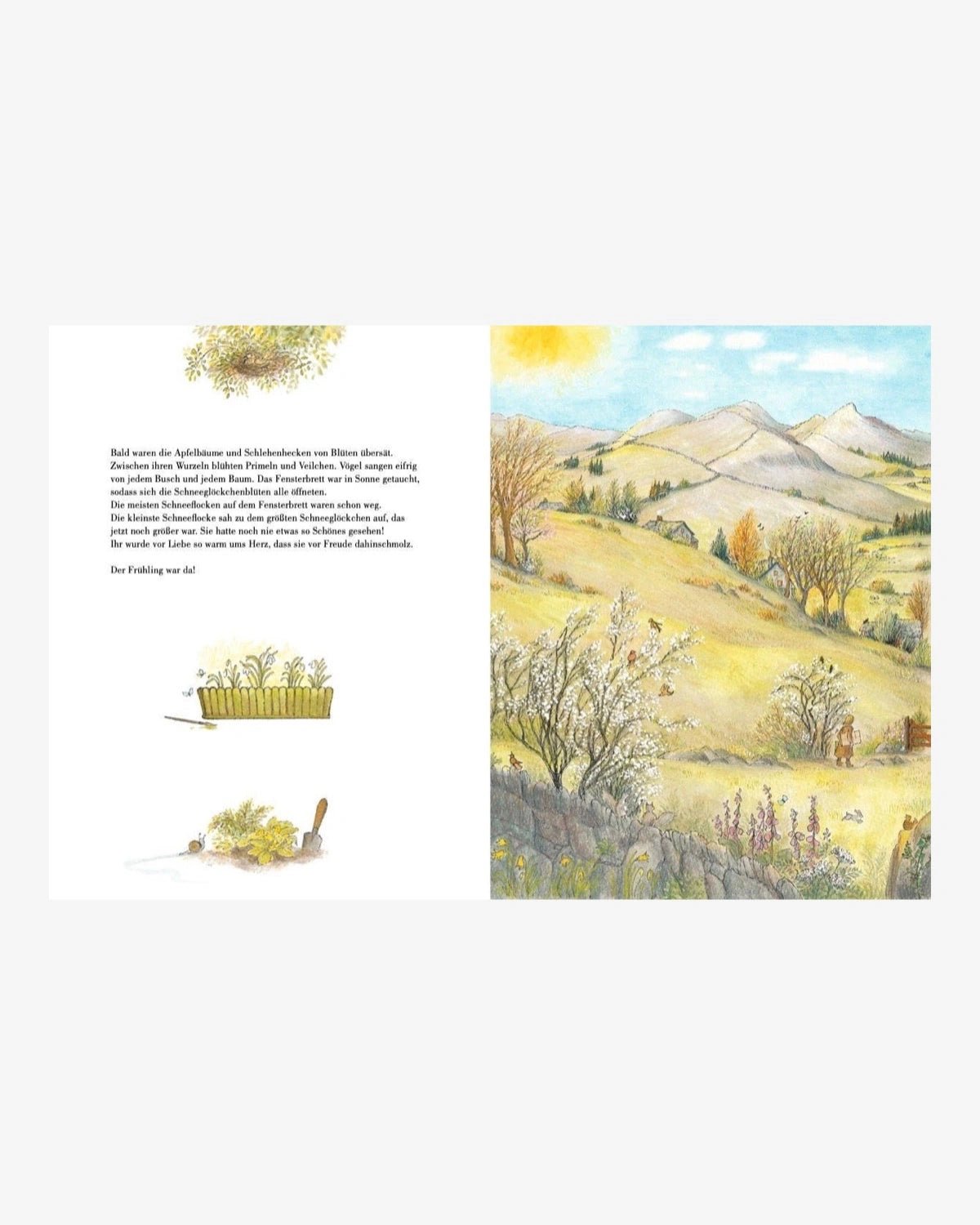 NordSüd Verlag - SCHNEEFLOCKE Kinderbuch - ROSA ECK