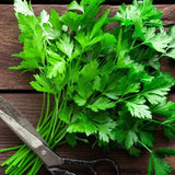 Piccolo Seeds - KITCHEN HERBS Saatgut - Set für Kräuter - Saatgut - ROSA ECK Concept Store
