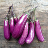 Piccolo Seeds - Saatgut für Auberginen • Eggplant Slim Jim - ROSA ECK