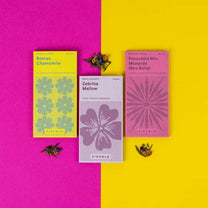 Piccolo Seeds - Saatgut - Set für Kräutertee • Floral Teas - ROSA ECK