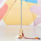 Regenschirm mit Entenkopf • Matisse
