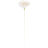 Rico Design - Papierblume • Windröschen Hartweiß - ROSA ECK