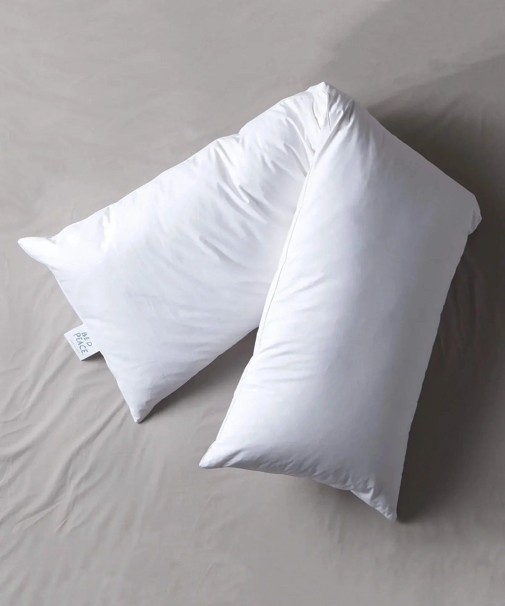 SUITE702 - bedMATE XL-Kopfkissen (Gänsefedern) • White - ROSA ECK