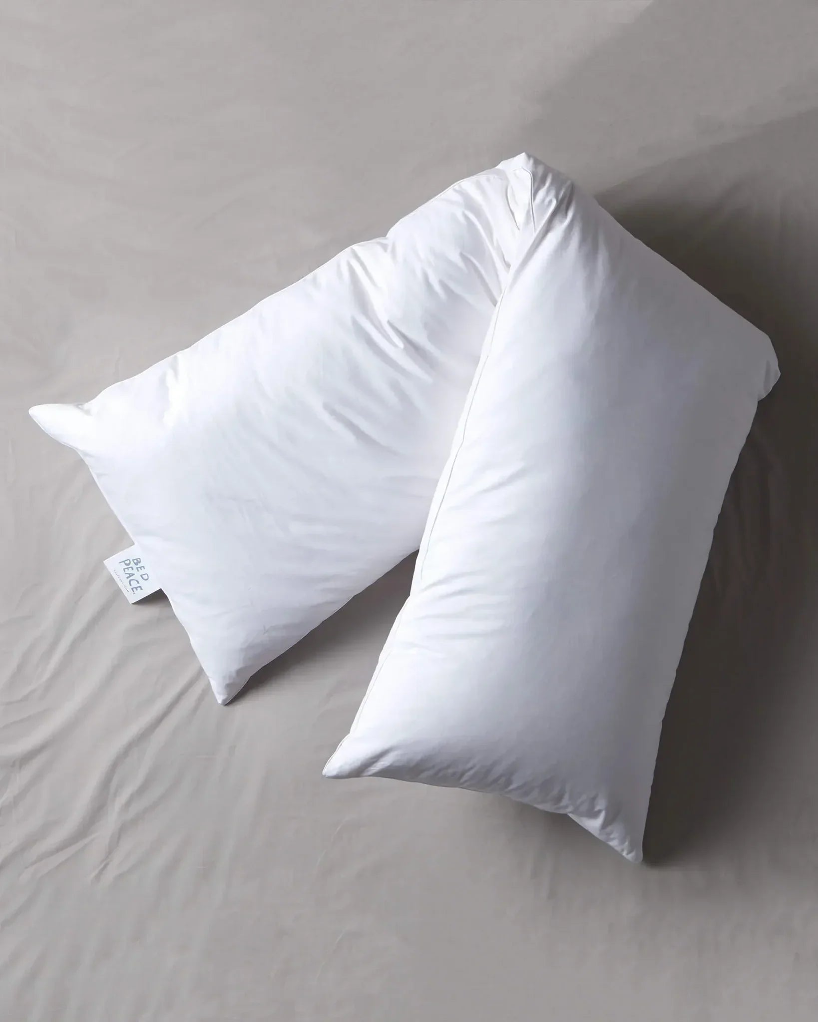 SUITE702 - bedMATE XL-Kopfkissen (Gänsefedern) • White - ROSA ECK